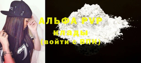 винт Пересвет