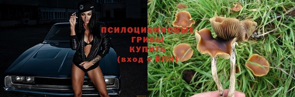 МДМА Осинники