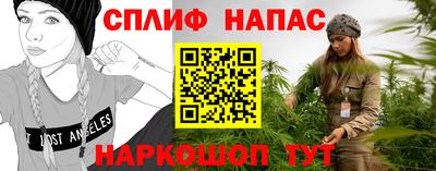 МДПВ Будённовск