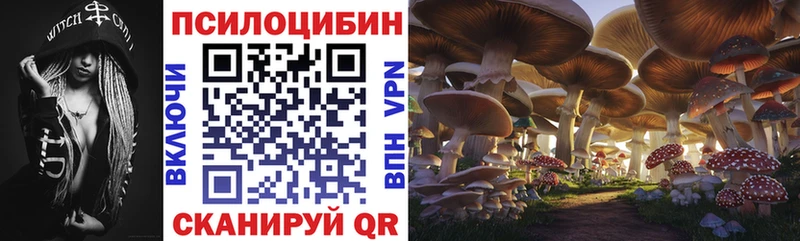 Псилоцибиновые грибы прущие грибы  Кинешма 
