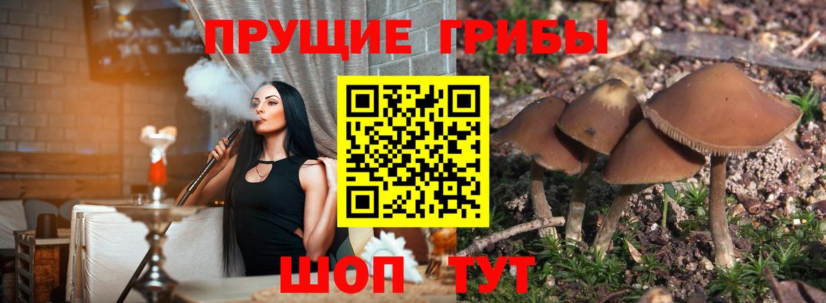 Псилоцибиновые грибы MAGIC MUSHROOMS Кинешма
